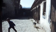 Tibet Gyantse 1987 PICT0460